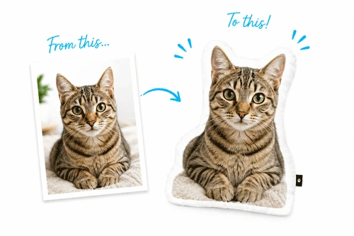 A photo of a cat turned into a custom cat shaped pillow